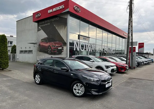 kia pomorskie Kia Ceed cena 111900 przebieg: 6, rok produkcji 2023 z Urzędów